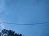 20241005071010-G0018578.JPG