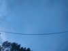 20241005071014-G0018579.JPG