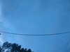 20241005071245-G0018617.JPG