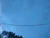 20241005071256-G0018620.JPG