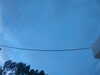 20241005071316-G0018625.JPG