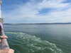 20241005132101-DSCN7213.JPG