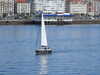 20241005132513-DSCN7224.JPG