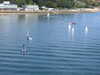 20241005133034-DSCN7236.JPG