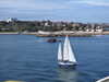 20241005133548-DSCN7253.JPG