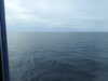 20241005143904-DSCN7256.JPG