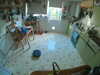 20241019154255-G0025464.JPG