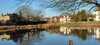2025-03-02:Chislehurst Ducks
