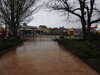 20250420101421-DSCN7345.JPG