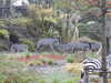 20250420101721-DSCN7349.JPG