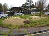 20250420101847-DSCN7351.JPG