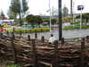 20250420102213-DSCN7364.JPG