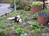 20250420102234-DSCN7366.JPG