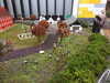 20250420103136-DSCN7388.JPG