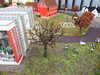 20250420103138-DSCN7389.JPG