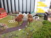 20250420103140-DSCN7390.JPG