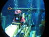 20250420104625-DSCN7410.JPG