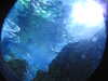 20250420104651-DSCN7411.JPG