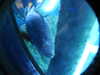 20250420104821-DSCN7417.JPG
