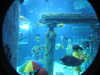 20250420104838-DSCN7418.JPG