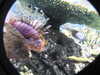 20250420105017-DSCN7423.JPG