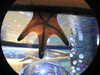 20250420105048-DSCN7426.JPG