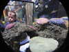 20250420105053-DSCN7427.JPG
