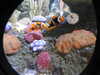 20250420105110-DSCN7428.JPG