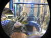 20250420105139-DSCN7430.JPG