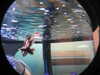 20250420105202-DSCN7431.JPG
