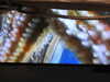 20250420105244-DSCN7432.JPG