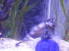 20250420105433-DSCN7434.JPG