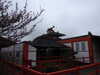 20250420113033-DSCN7441.JPG