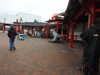 20250420115231-DSCN7444.JPG