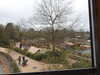 20250420123105-DSCN7455.JPG