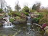 20250420124342-DSCN7517.JPG