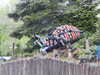 20250420124650-DSCN7519.JPG