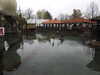 20250420130330-DSCN7529.JPG