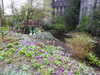 20250420131939-DSCN7535.JPG