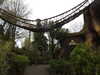 20250420132024-DSCN7537.JPG