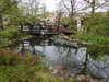 20250420132141-DSCN7538.JPG