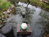 20250420132203-DSCN7539.JPG