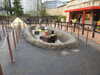 20250420132545-DSCN7550.JPG