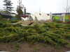 20250420135647-DSCN7579.JPG