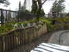 20250420143020-DSCN7596.JPG