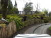 20250420143022-DSCN7597.JPG