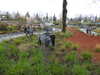20250420143024-DSCN7598.JPG