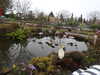 20250420143030-DSCN7601.JPG