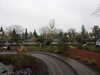 20250420143032-DSCN7602.JPG