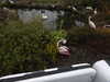 20250420143049-DSCN7608.JPG